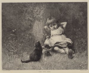 Die zwei Haustiere von English School
