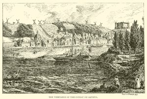 Die Weinberge des Coteau de Saumur von English School