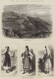 Der Krieg in der Herzegowina (Stich) von English School