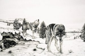 Die Welt der Natur: Der 