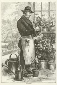 Der Florist von English School