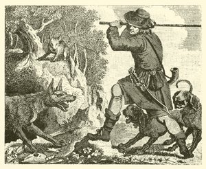 Der Fuchs und der Wolf