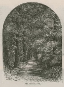 Die grüne Gasse, Holland House von English School