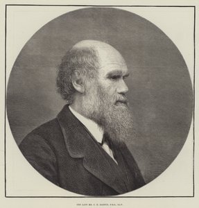 Der verstorbene Mr. C. R. Darwin, FRS, LLD von English School