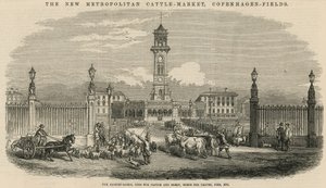 Der neue Metropolitan Viehmarkt, Copenhagen Fields von English School