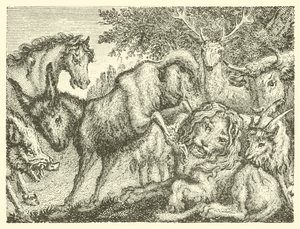 Der alte Löwe (Gravur)