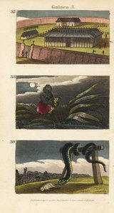 Der Palast des Königs von Dahomey in Abomey, ein afrikanischer Mann versteckt einen Fetisch und Menschen von Whydah verehren eine riesige Schlange von English School