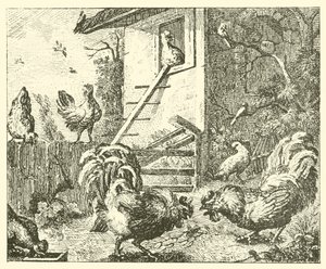 Das Rebhuhn und die Hähne von English School