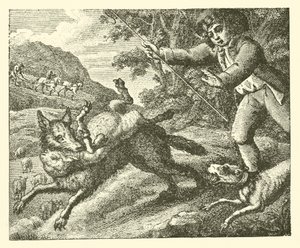 Der Hirtenjunge
