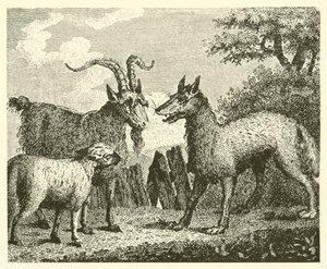 Der Wolf, das Lamm und die Ziege