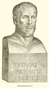 Theophrastos von English School