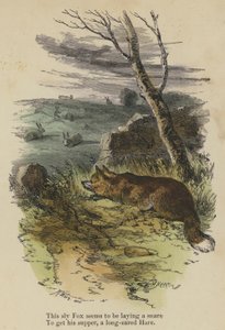 Dieser schlaue Fuchs scheint eine Falle zu stellen, um sein Abendessen zu bekommen, einen Hasen mit langen Ohren (kolorierte Gravur) von English School
