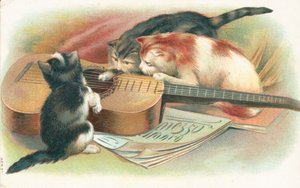 Drei Katzen spielen mit einer Akustikgitarre von English School