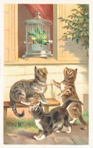 Drei Katzen sitzen unter einem Fenster von English School