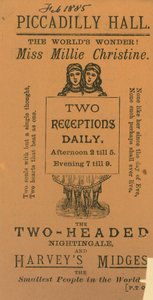 Ticket zum Besuch von Miss Millie Christine, der zweiköpfigen Nachtigall von English School
