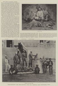 Tigerjagd und Hirschjagd mit dem Geparden, in der Nähe von Hyderabad, Indien von English School