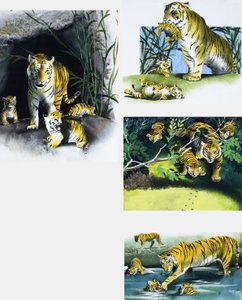 Tiger und Junge von English School