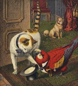 Tittums und Fido von English School