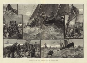 Arbeiter des Meeres beim Schleppnetzfischen auf der Doggerbank von English School
