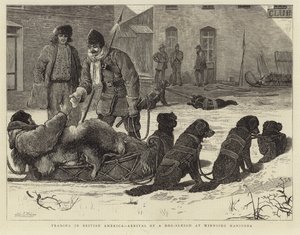 Handel in Britisch-Amerika - Ankunft eines Hundeschlittens in Winnipeg, Manitoba von English School
