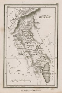 Stamm Naphtali