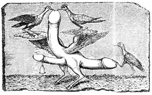 Dreifacher Phallus mit Flügeln, Beinen und Füßen einer Ziege, einer Glocke, Flügeln, zwei Vögeln, die den größten Penis picken, und einem anderen Vogel, der den Schwanz mit seinem Fuß niederhält von English School