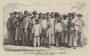 Typen chinesischer Einwanderer, freie Arbeiter in Guadeloupe von English School