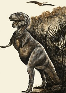 Tyrannosaurus Rex von English School