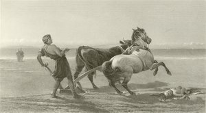 Odysseus pflügt die Küste (Gravur) von English School