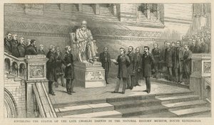 Enthüllung der Statue des verstorbenen Charles Darwin im Natural History Museum, South Kensington von English School