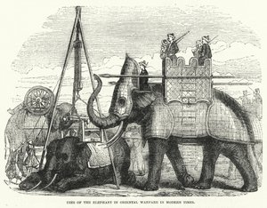 Verwendung des Elefanten in der orientalischen Kriegsführung in der Neuzeit von English School