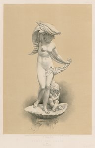 Venus und Amor von English School