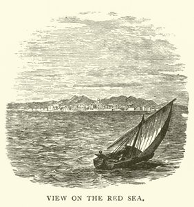Blick auf das Rote Meer von English School