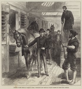 Reise des Prinzen von Wales nach Indien, Übung der Pferde des Prinzen von Wales an Bord der HMS Serapis (Stich) von English School