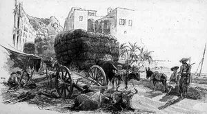 Wagen mit Espartogras, Almeria, Spanien, aus 