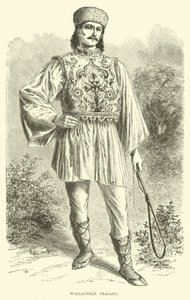 Walachischer Bauer von English School