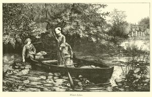 Seerosen von English School