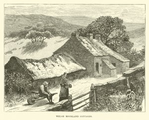 Walisische Moorland-Hütten von English School