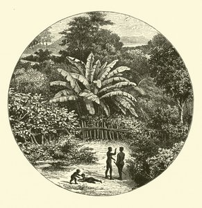 Westafrika von English School