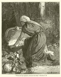 "Als sie es öffnete, sah sie das Kind", Exodus, ii, 6 von English School