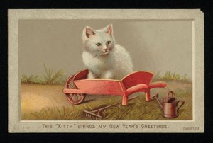 Weiße Katze in einer Schubkarre, Neujahrskarte von English School