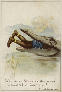 Warum ist ein Alligator das betrügerischste Tier? von English School