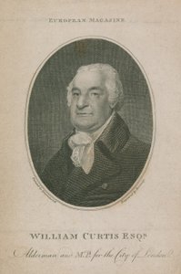 William Curtis, Alderman und Abgeordneter für die City of London; Lord Mayor von London 1788 von English School