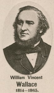 William Vincent Wallace (Gravur) von English School