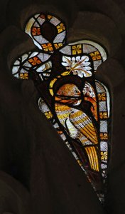 Fenster Ew, ein Vogel