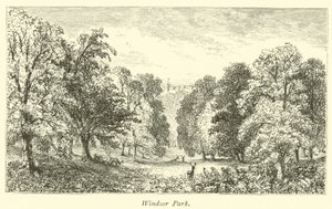 Windsor Park von English School