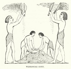 Korn worfeln (Gravur) von English School