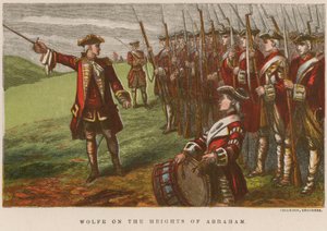 Wolfe auf den Höhen von Abraham