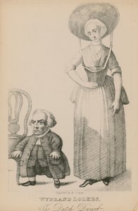Wyband Lolkes, der niederländische Zwerg von English School
