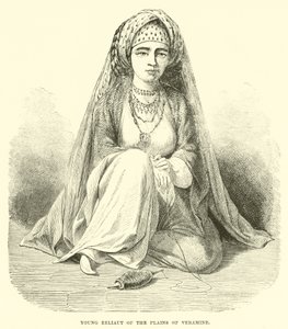 Junger Eeliaut aus den Ebenen von Veramine von English School